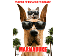 Marmaduke