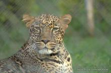 ¡a kenia con los niños!