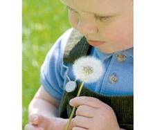 Cuándo hacerse pruebas de alergia