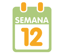 La 12ª semana de embarazo