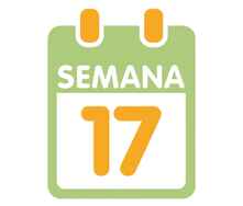 La 17ª semana de embarazo