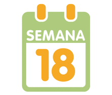 La 18ª semana de embarazo