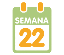 La 22ª semana de embarazo