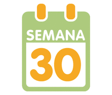 La 30ª semana de embarazo