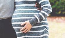 ¿es la inteligencia hereditaria?