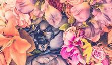 Nombres de flores para bebés
