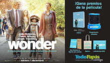 Ganadores con curso Wonder