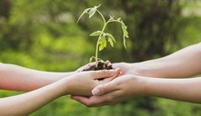 Día Mundial del Medio Ambiente