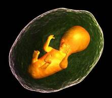 ¿cómo funciona el proceso de inseminación artificial?