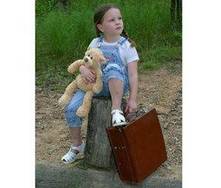 ¿viajar con toda mi familia (numerosa)?