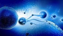 ¿Cuándo se recomienda la fecundación in vitro?