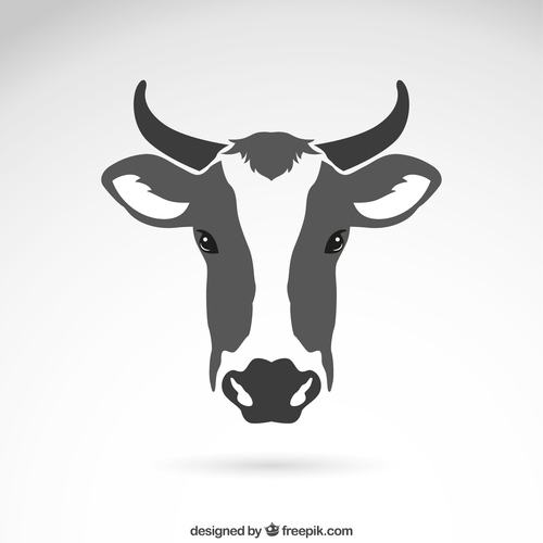 La vaca nicolasita
