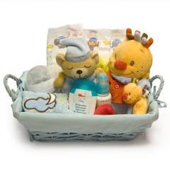 Cesta de Nacimiento para Niño Lyon de Petit Chat
