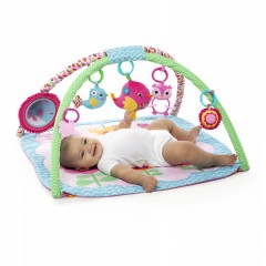 Gimnasio Birdies de Bright Starts